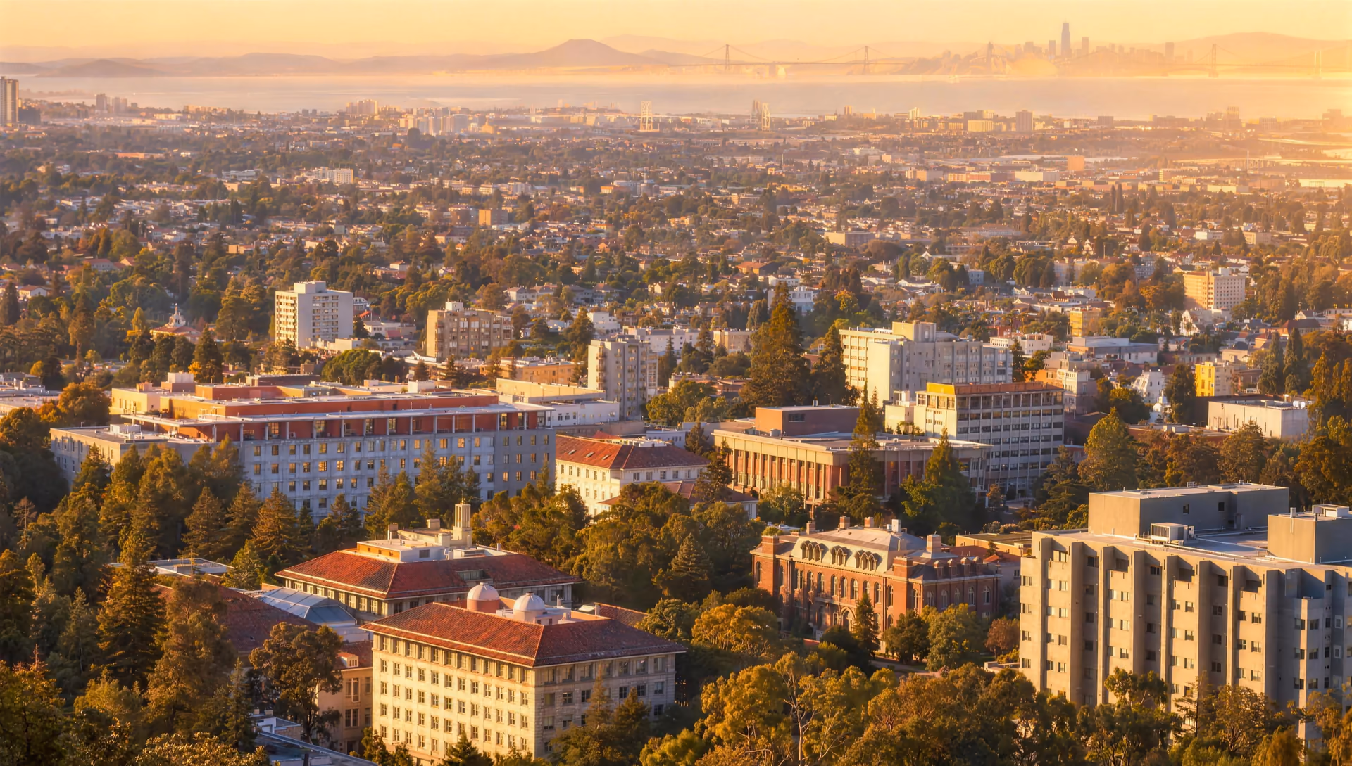 The Berkeley campus from the hills at golden hour, looking west to the bay.